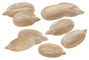 detailed photograph showcasing a collection of sunflower seeds, each exhibiting unique ridges and textures, creating a natural pattern.