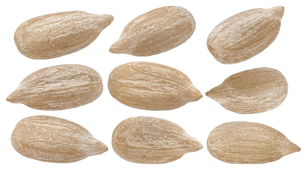 macro photograph featuring a neatly arranged collection of sunflower seeds, emphasizing their texture, color, and unique forms against a dark background.
