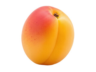 Isolated Apricot fruit, peach-like drupe, with orange and red skin in smooth velvety texture