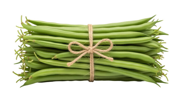 Isolated Stack of Green Beans Tied Together With Twine, fresh healthy vegetables on table