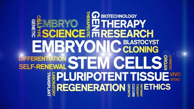 Embryonic Stem Cells animated word cloud-text design animation tag kinetic typography seamless loop.