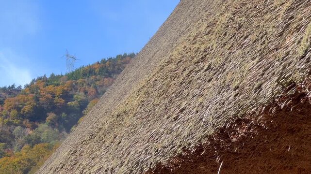 Rising ground view footage traces the thatched wall of a gassho zukuri home in Japan, moving upward along dense straw toward the roof