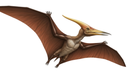 Isolated Pterodactylus antique animal, prehistoric flying reptile with wings in the air