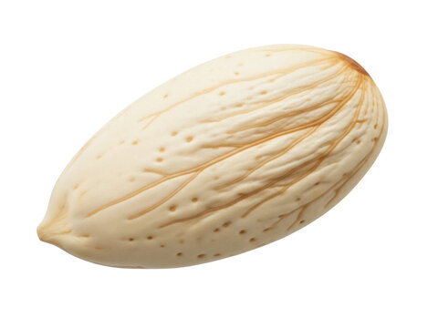 Isolated blanched almond nut close-up for nutrition, snack, recipe ingredient or food design