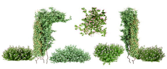 detailed 3d render of lush green hedges and flowering bushes against a stark transparent background, ideal for landscape design inspiration and visualization