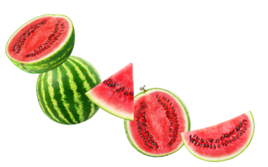 vibrant arrangement of fresh watermelon slices and whole fruit capturing the juicy sweetness and refreshing taste of summer in high resolution photograph.