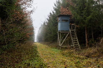 Hochsitz im Wald neben einem Waldweg