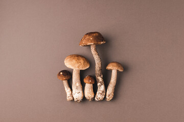 Mushrooms on brown background. Autumn harvest concept.