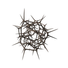 Fototapeta premium Metal thorn ball spikes isolated on a transparent background