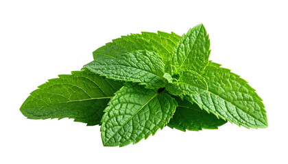 Vibrant green mint leaves, with pronounced veins, stacked and isolated against a stark black background