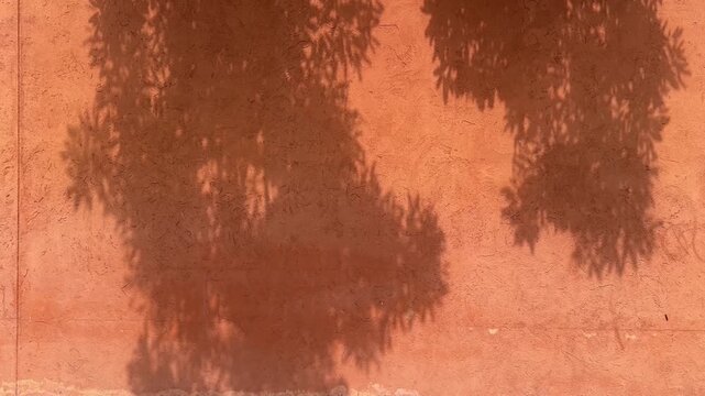 video of soft leaf shadows falling on an orange textured wall creating an abstract natural pattern with warm sunlight tones.
