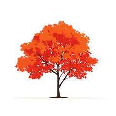 Minimal 2D vector illustration of Maple Tree in flat icon style on a plain white background.