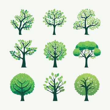 9 Ic&ocirc;nes Silhouettes d'Arbres, Illustration pour Paysagiste, Couleur Vert, Dessin Vecteur