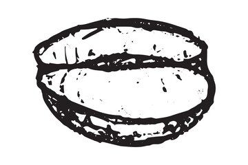 Hand drawn fresh roasted coffee bean Arabica robusta seed doodle Single element for print, web, design, decor