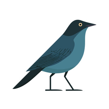 Modern flat 2D vector illustration of Bowerbird, clean and minimal design, isolated on white background.