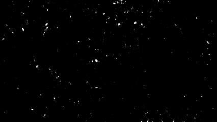 Perfect fire particles embers sparks on black background . Texture overlays.