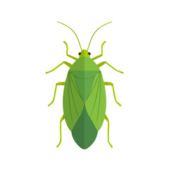Fototapeta premium Flat 2D vector illustration of Aphid, simple icon style on a clean white background.