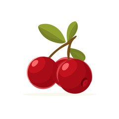 Obraz premium Cranberry, 2D flat vector illustration, simple and modern style, isolated on a plain white background.