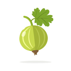 Gooseberry, modern 2D flat vector illustration in icon style, isolated on pure white background.