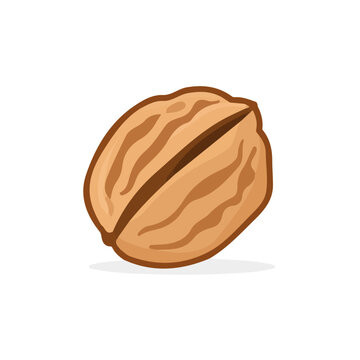 Simple flat 2D vector graphic of Walnut, modern icon look, displayed on a pure white background.