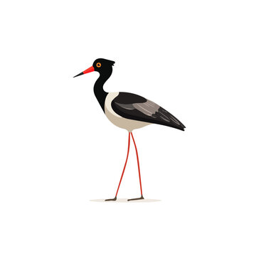 Modern flat 2D vector illustration of Jacana, clean and minimal design, isolated on white background.