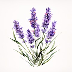 Fototapeta premium Watercolor painting of a lavender bouquet with delicate purple flowers and green leaves