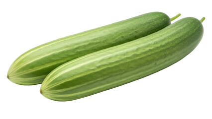 Isolated pair of fresh cucumbers, two whole raw green vegetables with thin skin, summer produce