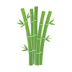 Obraz premium Illustration of a bunch of green bamboo stalks with leaves on a white background in a flat graphic style.