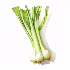 Watercolor painting of fresh spring onions with delicate green leaves