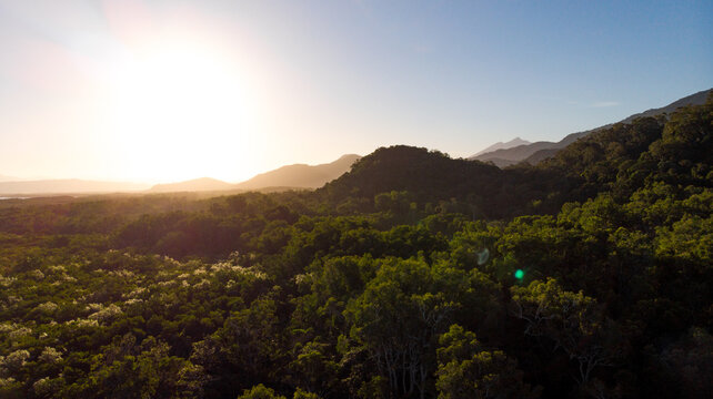 Aerial view of the verdant Daintree Rainforest canopy sprawling towards distant mountains under a radiant sun, Cape Tribulation, Queensland, Australia.