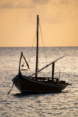 Fototapeta premium Eastern reef egret on a tropical beach in the Maldives, captured flying over the ocean in its natural coastal habitat during sunset behind an out-of-focus typical Maldivian boat. 