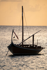 Eastern reef egret on a tropical beach in the Maldives, captured flying over the ocean in its natural coastal habitat during sunset behind an out-of-focus typical Maldivian boat. 