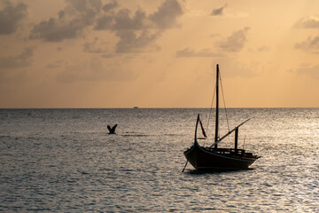 Eastern reef egret on a tropical beach in the Maldives, captured flying over the ocean in its natural coastal habitat during sunset next to a typical Maldivian boat. 