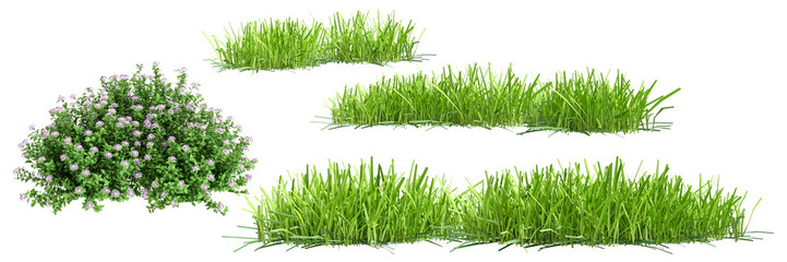 photograph of lush green grass patches and flowering bushes isolated on a transparent background, perfect for highlighting natural elements.