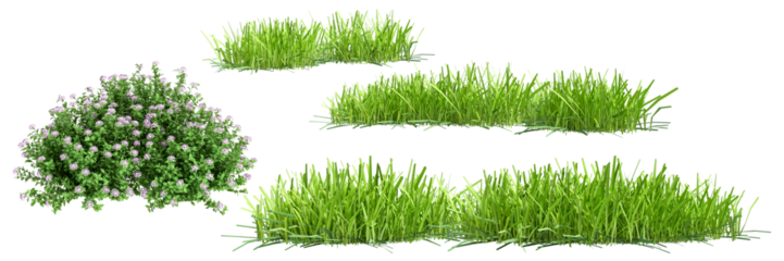 photograph of lush green grass patches and flowering bushes isolated on a transparent background, perfect for highlighting natural elements.