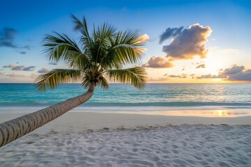 Peaceful tropical coastline at sunset with palm tree turquoise water and soft sand ripples