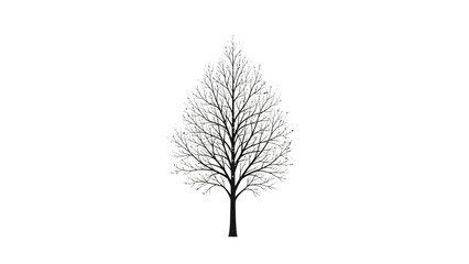 Fototapeta premium Single bare tree with first buds