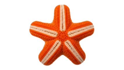 Isolated orange starfish with five arms on a simple seamless background from above view