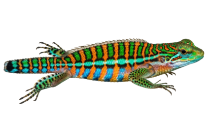 Isolated lizard portrait on a neutral backdrop, colorful reptile, exotic pet, animal illustration