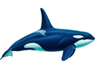 Isolated orca portrait in blue gradient, with white spots, marine mammal, sea animal render