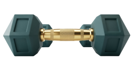 Isolated dumbbell weight exercise equipment for strength and fitness training at the gym studio