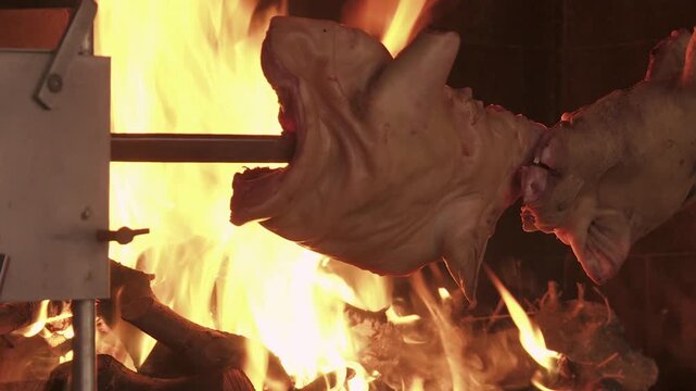 half-roasted suckling pigs on a spit with a wood fire in the background