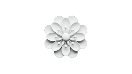 White Flower Isolated on White Background