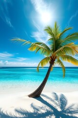 Tropical beach with single palm tree over crystal clear turquoise water