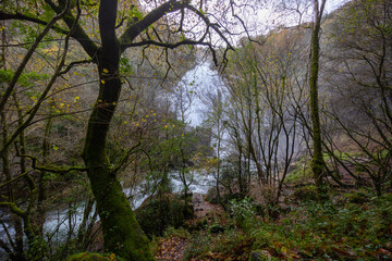 Rio belelle waterfall flowing through galician forest