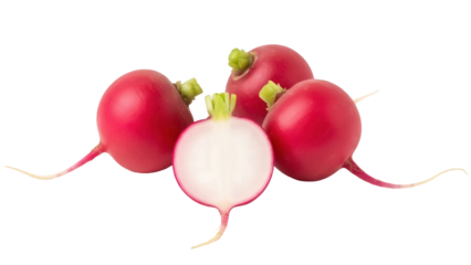 Isolated radish vegetables – healthy, fresh and nutritious food for salads and cooking