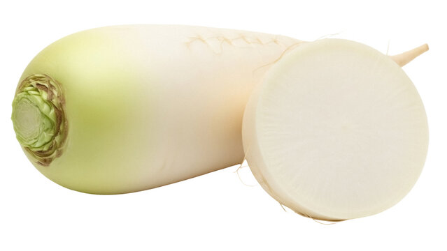 Isolated Daikon radish with slice, also known as mooli, long white winter carrot root vegetable