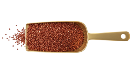 Isolated scoop filled with red quinoa seeds, healthy grains spilling to the side, protein source
