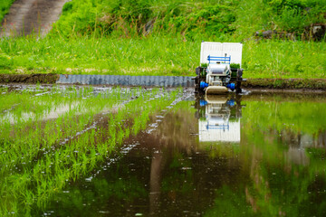 250531結東の石垣田