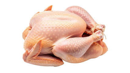Isolated whole raw chicken ready for cooking, holiday season poultry, no background